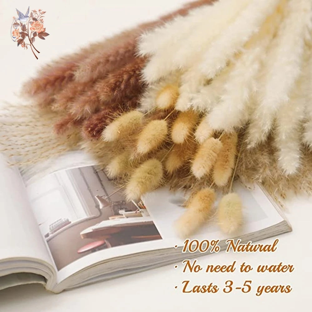 Natural Dried Pampas Grass Wedding Decor Bundle