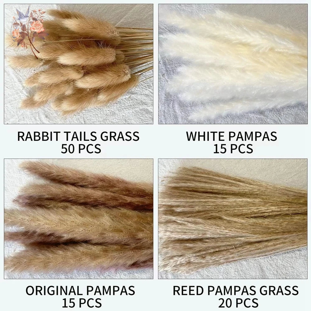 Natural Dried Pampas Grass Wedding Decor Bundle