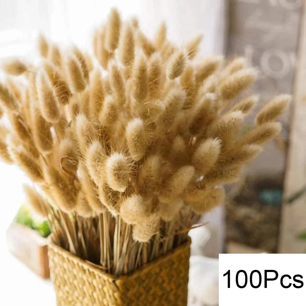 Natural Dried Pampas Grass Wedding Decor Bundle