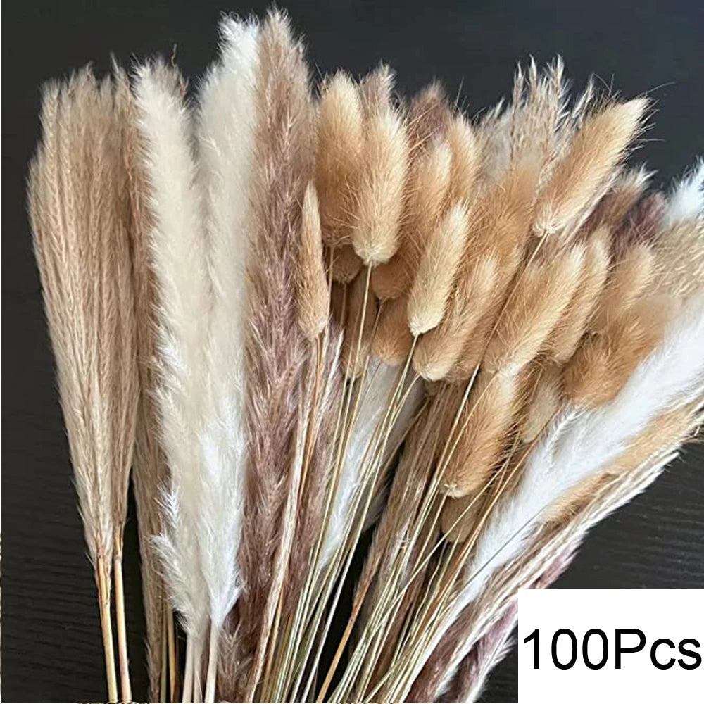Natural Dried Pampas Grass Wedding Decor Bundle