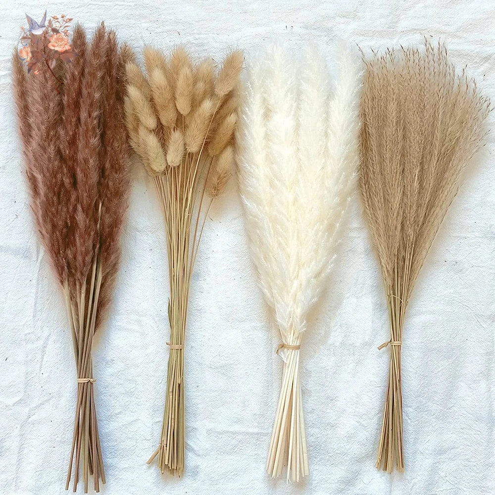Natural Dried Pampas Grass Wedding Decor Bundle